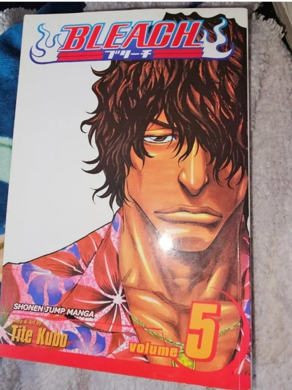 Bleach, Vol. 5: Right Arm of the Giant